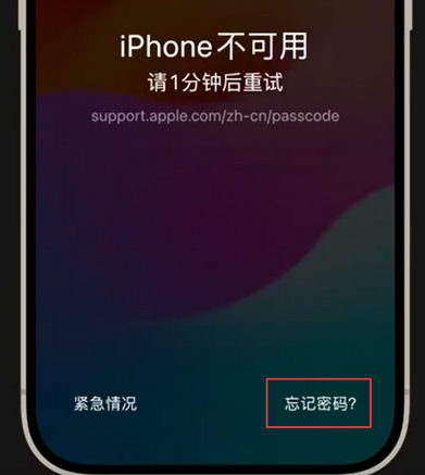 河曲苹果手机密码维修分享iPhone忘记了刚设置的密码 