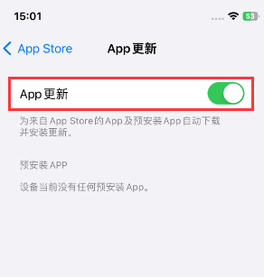 河曲苹果15维修中心如何让iPhone15APP自动更新